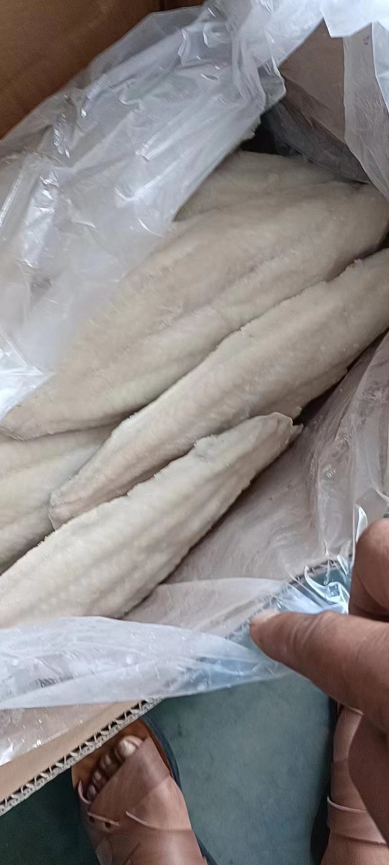 带皮精修巴沙鱼，美标，保证鱼肉不散不烂，保质量