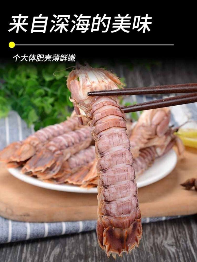皮皮虾鲜活超特大海虾新鲜蒸熟皮虾食富贵虾海鲜水产，支持饭