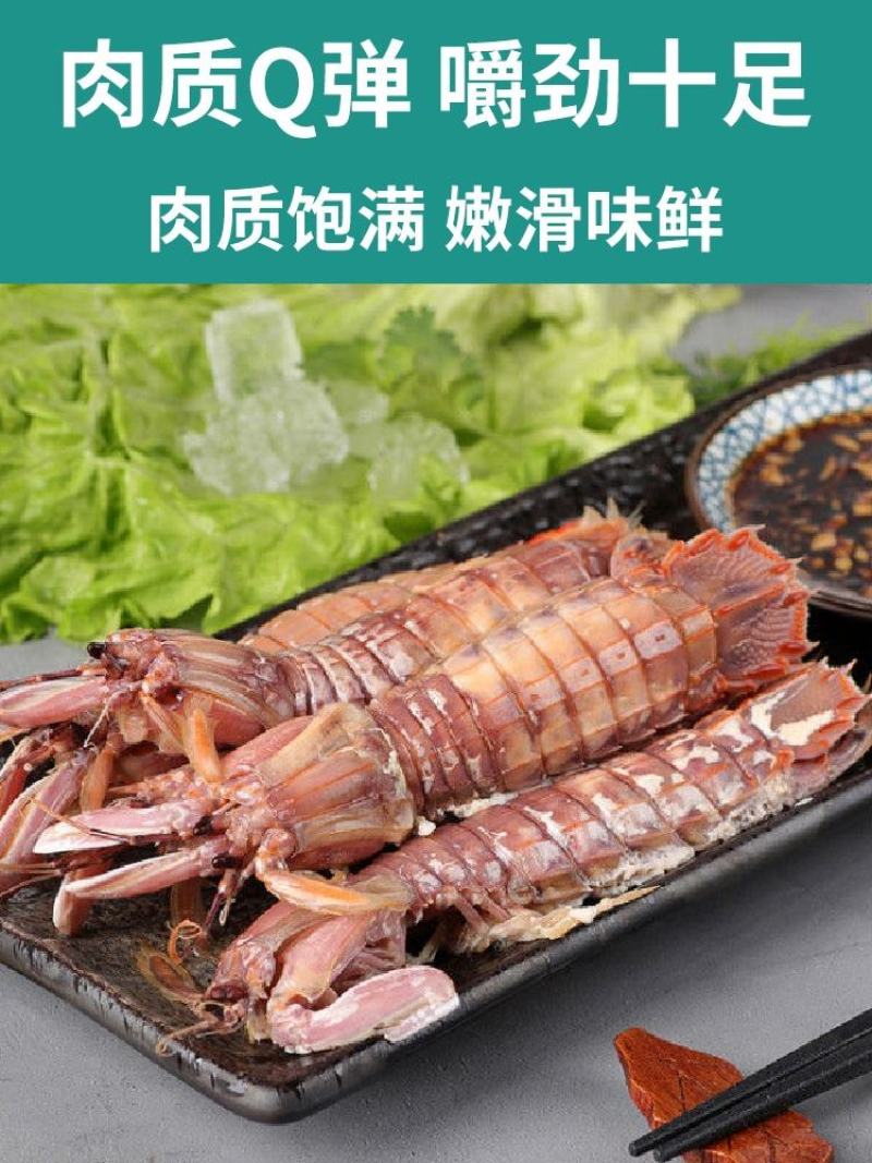 皮皮虾鲜活超特大海虾新鲜蒸熟皮虾食富贵虾海鲜水产，支持饭