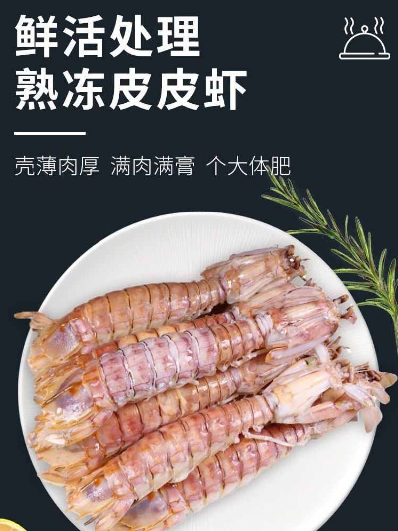 皮皮虾鲜活超特大海虾新鲜蒸熟皮虾食富贵虾海鲜水产，支持饭
