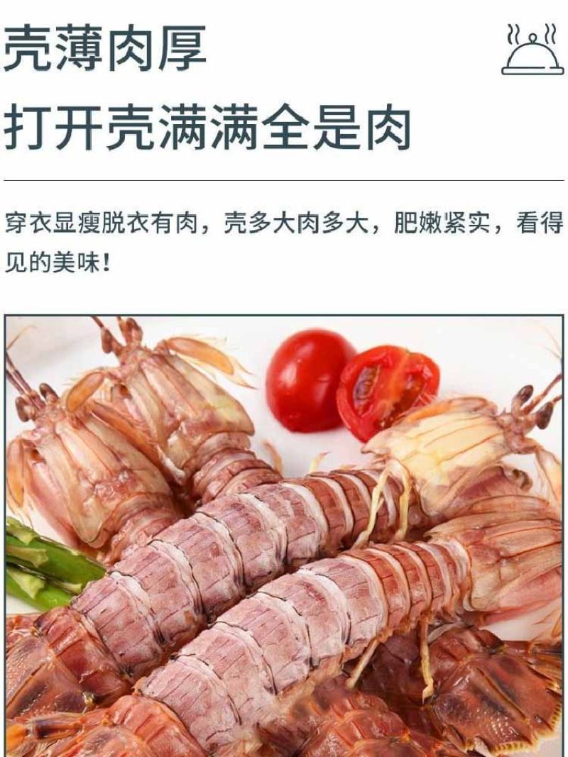皮皮虾鲜活超特大海虾新鲜蒸熟皮虾食富贵虾海鲜水产，支持饭
