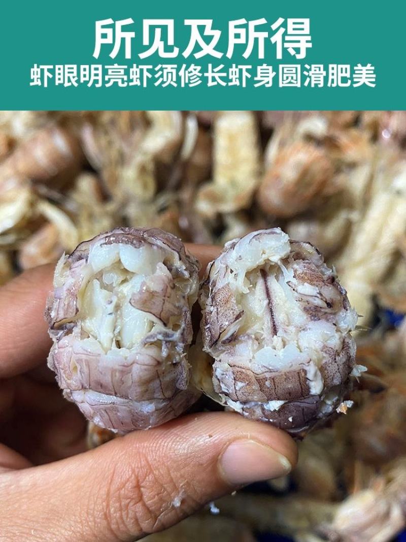 皮皮虾鲜活超特大海虾新鲜蒸熟皮虾食富贵虾海鲜水产，支持饭
