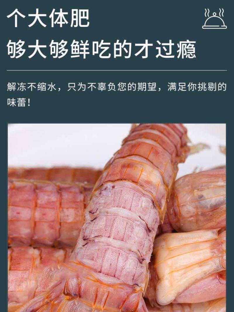 皮皮虾鲜活超特大海虾新鲜蒸熟皮虾食富贵虾海鲜水产，支持饭