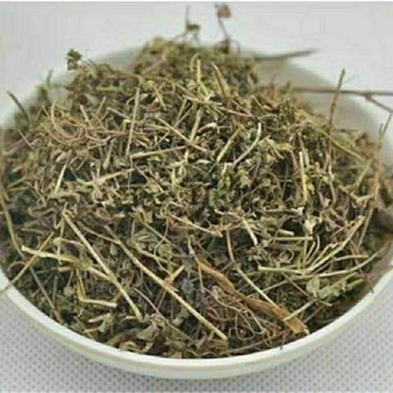 地锦草干货地锦草中药材铺地草奶浆草量大从优