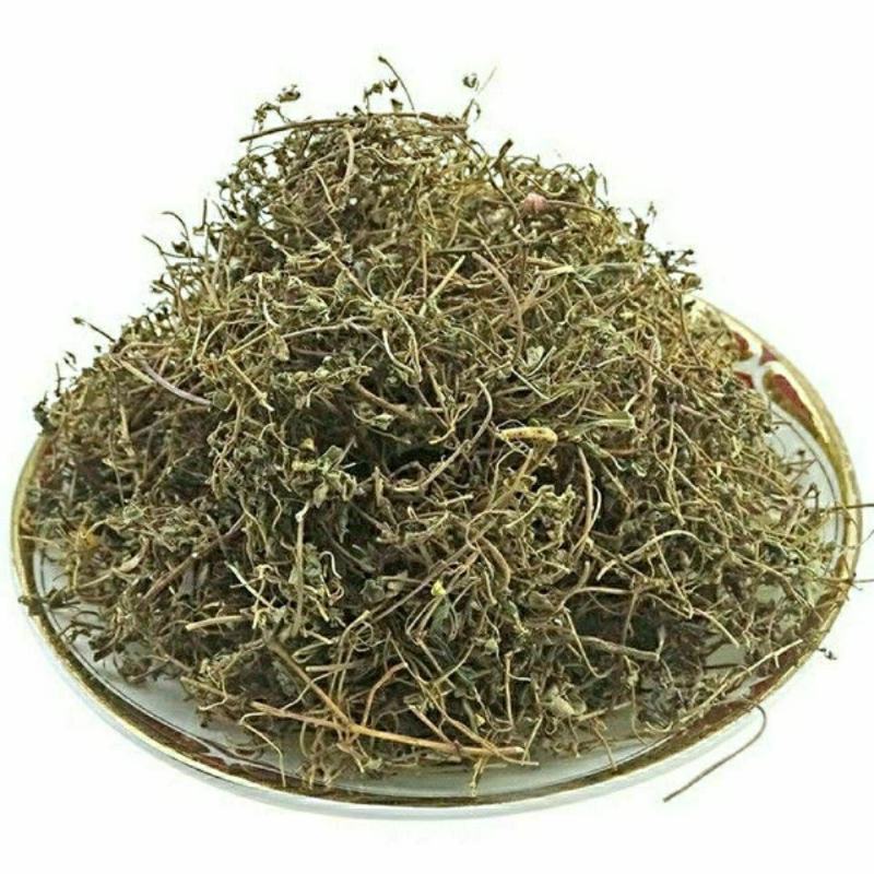 地锦草干货地锦草中药材铺地草奶浆草量大从优