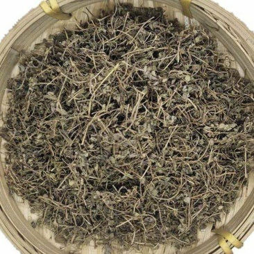 地锦草干货地锦草中药材铺地草奶浆草量大从优