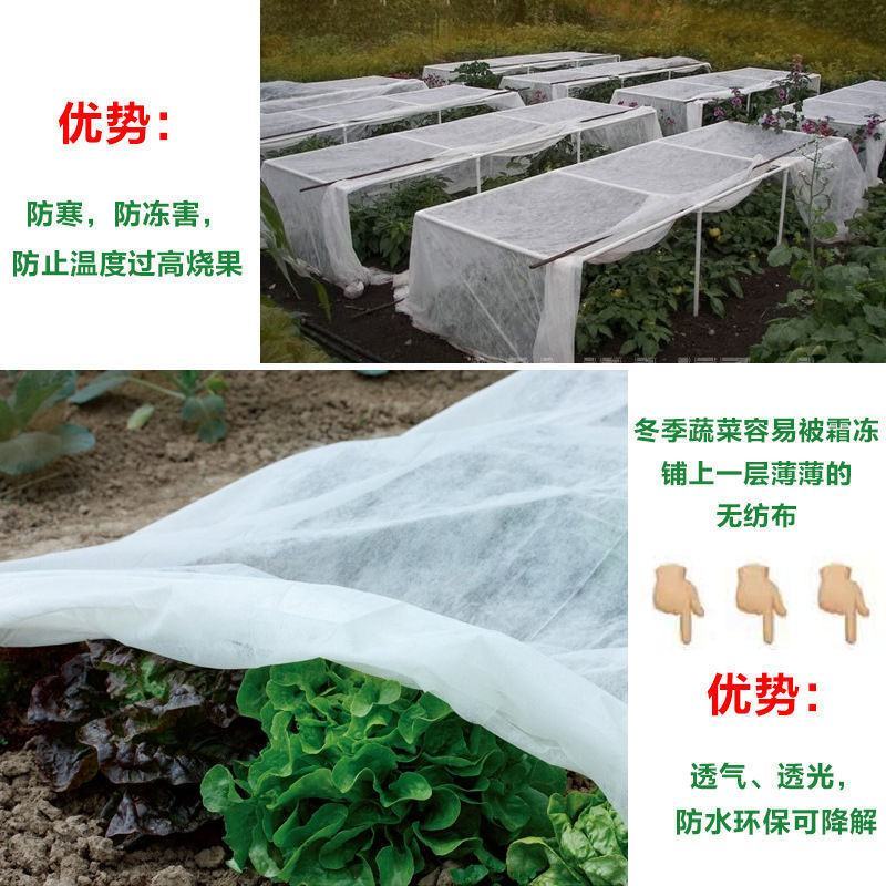 无纺布蔬菜防寒保温无纺布草坪覆盖无纺布育苗育秧无纺布