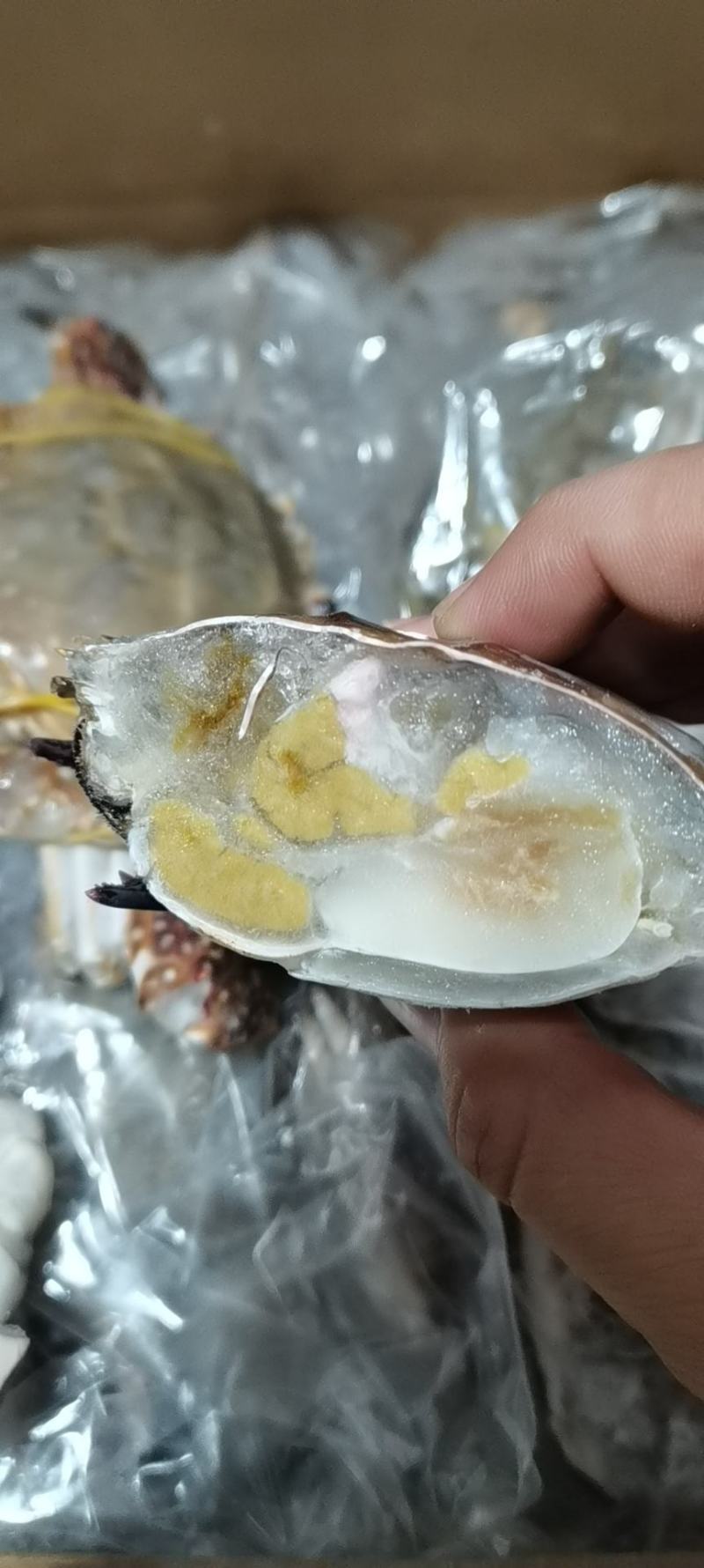 单冻中公梭子蟹，价格便宜，自助餐专用，香辣蟹，一件20斤
