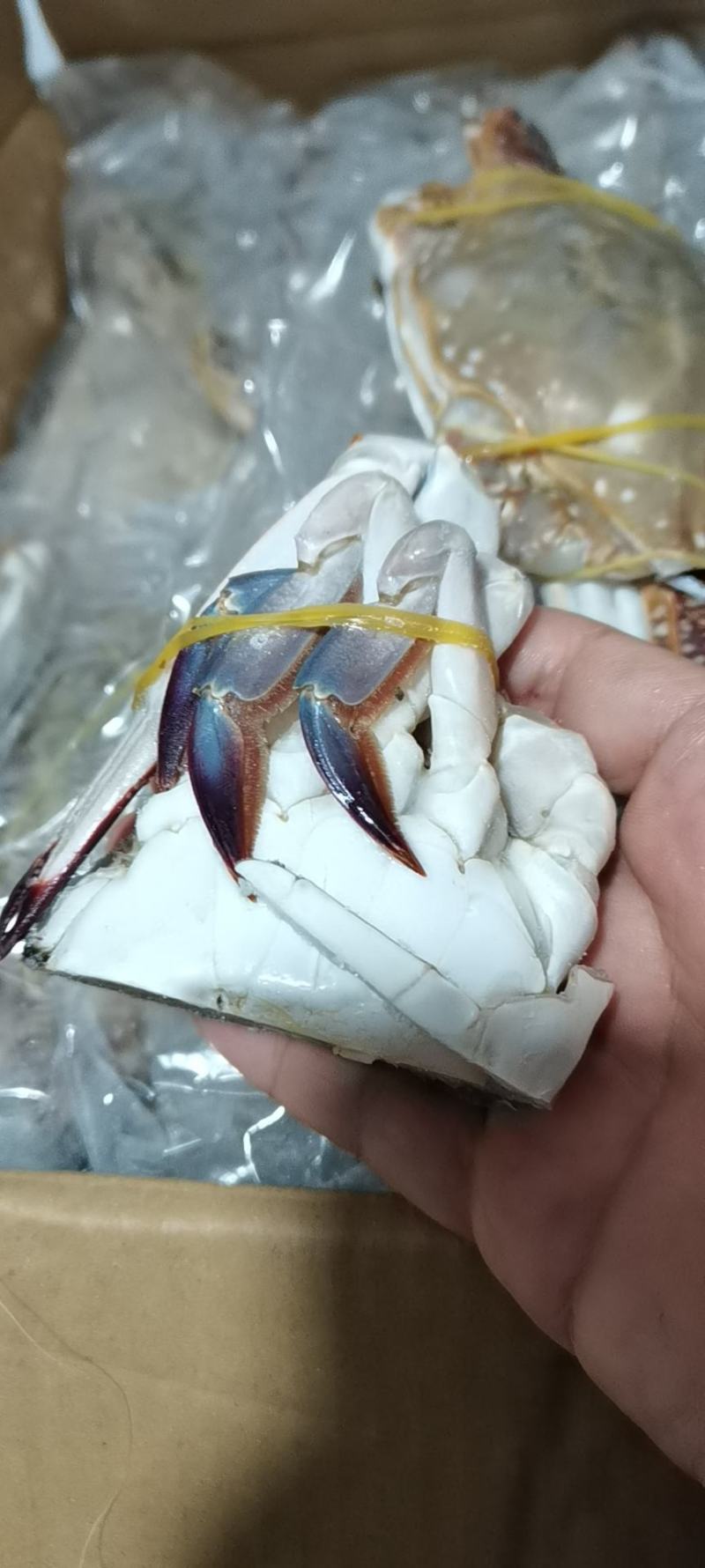 单冻中公梭子蟹，价格便宜，自助餐专用，香辣蟹，一件20斤