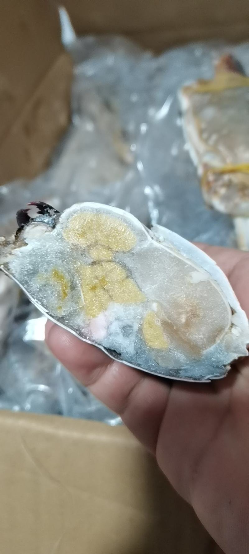 单冻中公梭子蟹，价格便宜，自助餐专用，香辣蟹，一件20斤