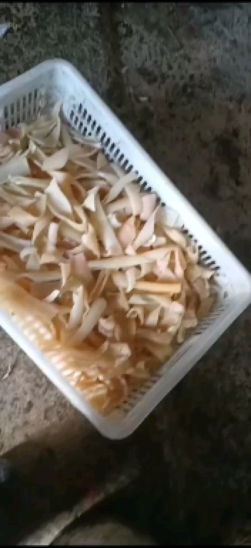 速万食品加工的过开水去油去毛猪皮做猪皮冻专用