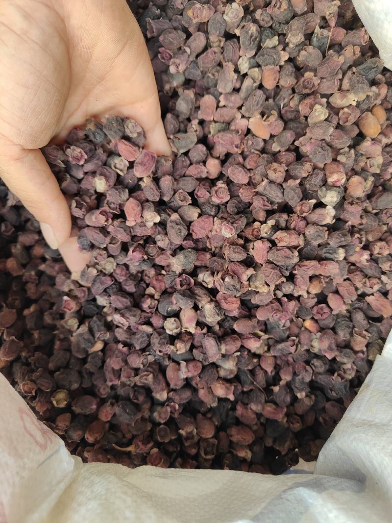 熟果捻子干三蒸三晒捻子泡酒料桃金娘果干