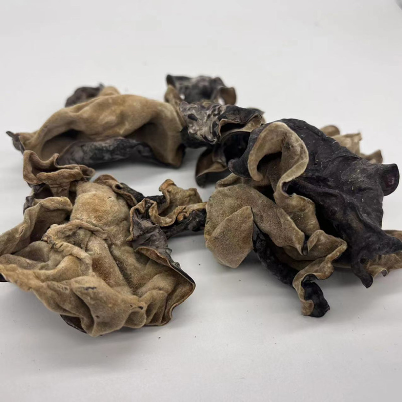 二茬毛木耳大量批发无根产地直发整车发货