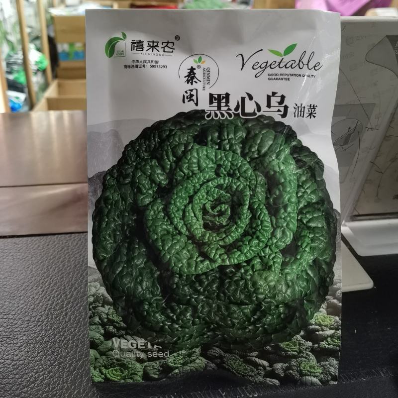 黑心乌菜种子黑油菜乌塌菜种籽黄心乌耐寒抗病高产秋季播蔬菜