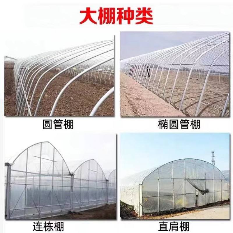 椭圆大棚管插地棚养殖棚