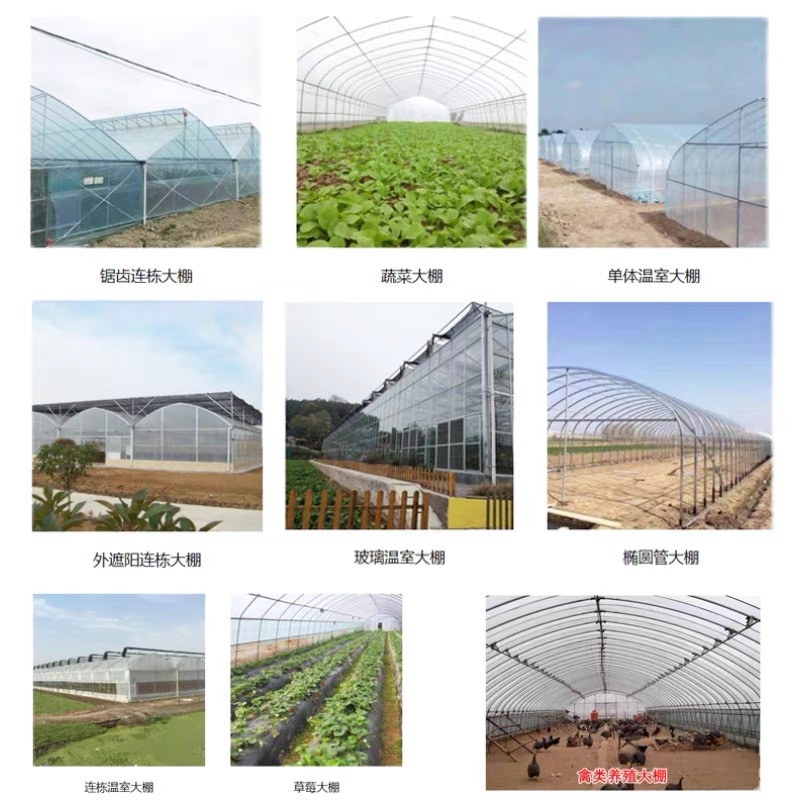 椭圆大棚管插地棚养殖棚