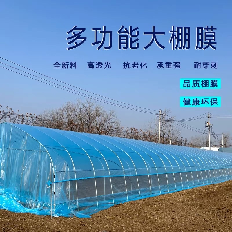 椭圆大棚管插地棚养殖棚