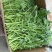 【稳定供货】江苏精品茼蒿大量上市新鲜供应对接市场商超批发