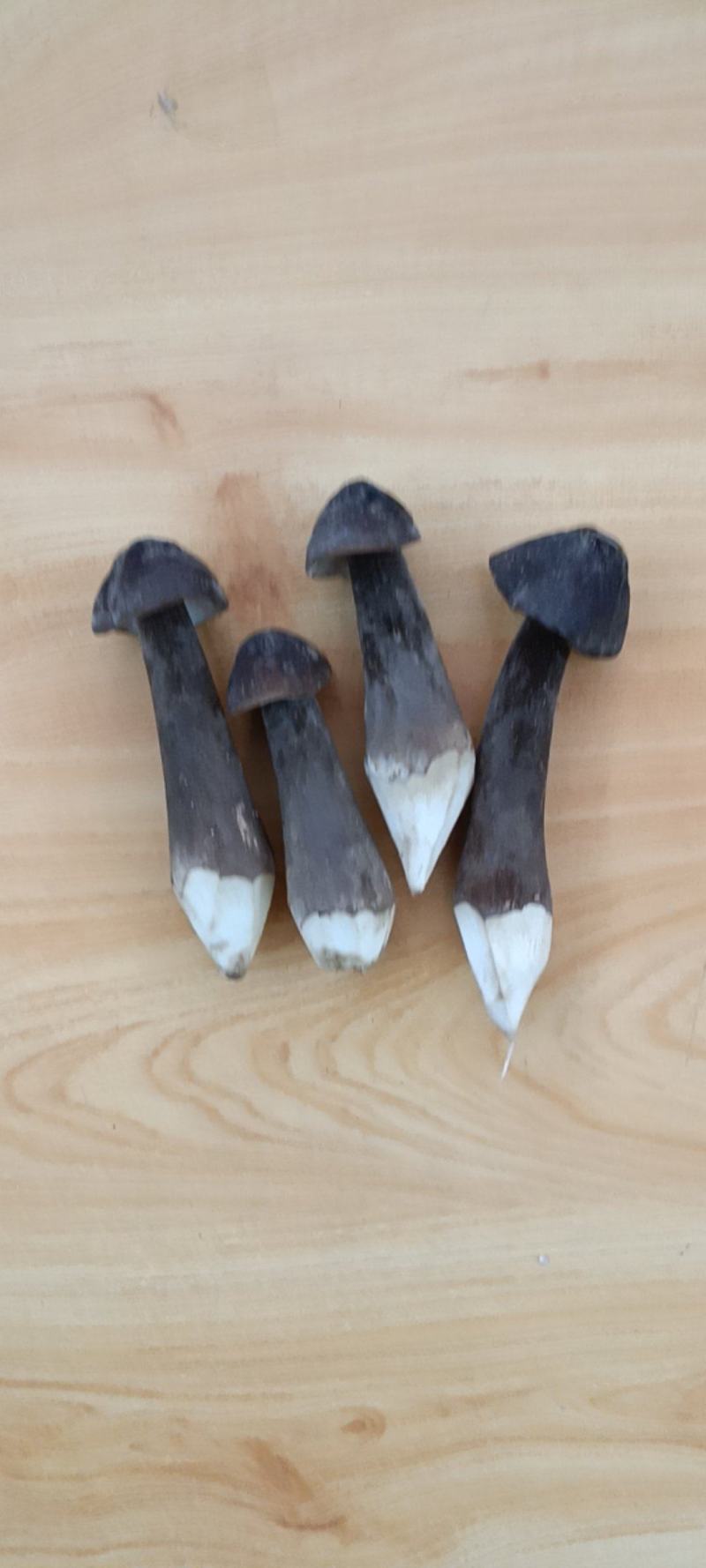 黑皮鸡枞现货云南高原鸡枞菌新鲜肥嫩山珍特产味道鲜美
