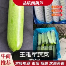 山西绿皮西葫芦新鲜上市，保质保量诚信经营