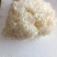 新鲜绣球菌绣球菇食用菌菇凉拌煲汤火锅酒店食材