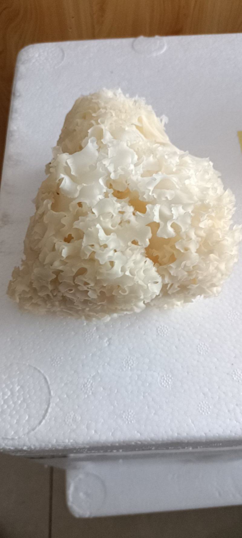 新鲜绣球菌绣球菇食用菌菇凉拌煲汤火锅酒店食材