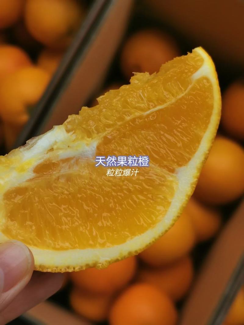 赣南脐橙果园直采专业一件代发当天发货对接微商直播网店团购