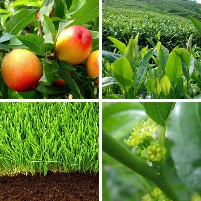 大量元素水溶肥氮磷钾平衡肥冲施肥叶面肥水溶肥蔬菜植物肥