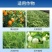 大量元素水溶肥氮磷钾平衡肥冲施肥叶面肥水溶肥蔬菜植物肥