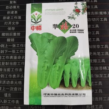 翠禧20快菜种子绿小白菜籽20天成熟四季速生耐热耐湿农户