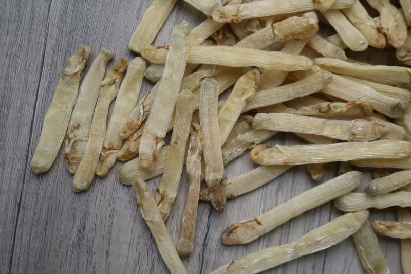 特级精选北海沙虫干360头白净的特大条厚肉很多干度特好不