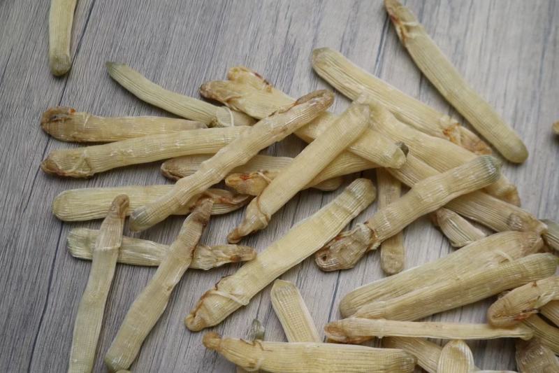特级精选北海沙虫干360头白净的特大条厚肉很多干度特好不