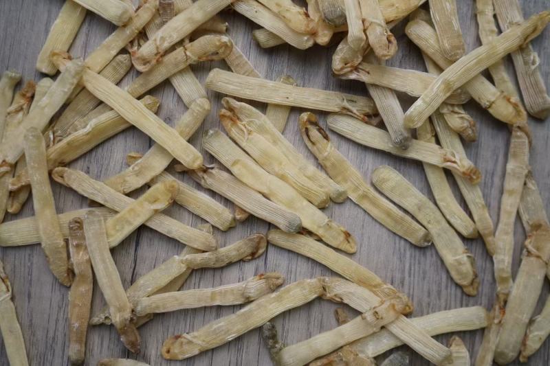 特级精选北海沙虫干360头白净的特大条厚肉很多干度特好不