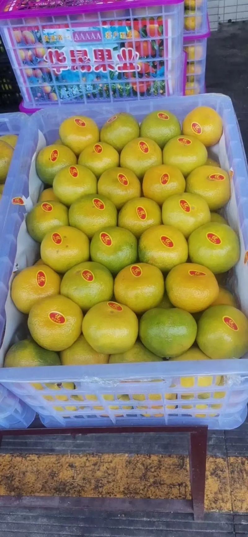 蜜橘柑桔产地现摘现发可视频看货欢迎咨询