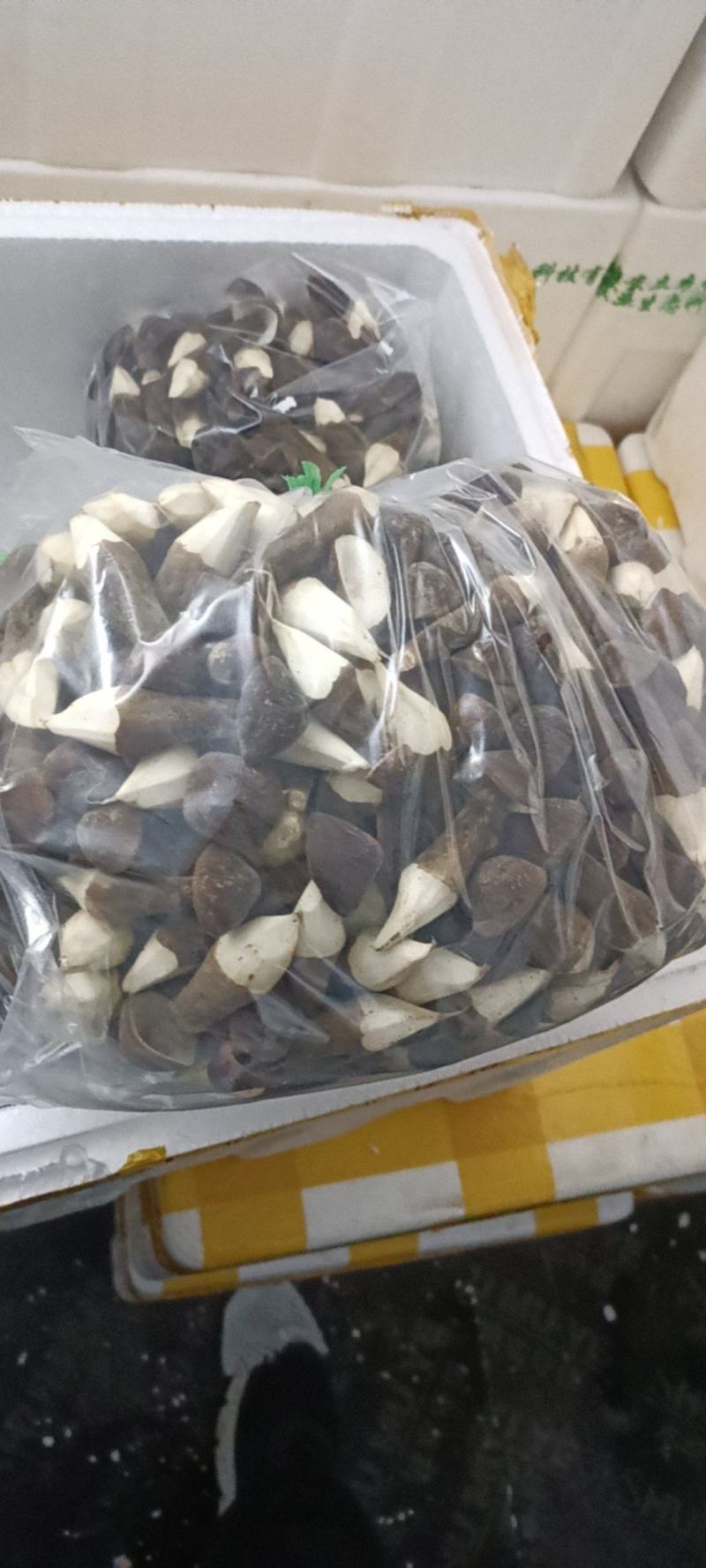 黑皮鸡枞现货云南高原鸡枞菌新鲜肥嫩山珍特产味道鲜美