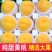 自家十年桃园产的黄桃（石黄果）