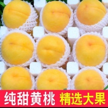 自家十年桃园产的黄桃（石黄果）