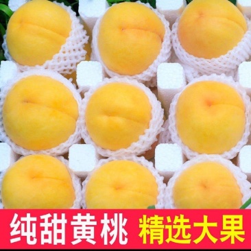 自家十年桃园产的黄桃（石黄果）