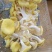富硒榆黄蘑鸡油菌催嫩爽口使用菌鲜菌