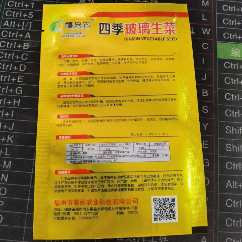 四季甜脆玻璃生菜种子脆嫩生吃生菜种籽阳台四季盆栽春季蔬菜