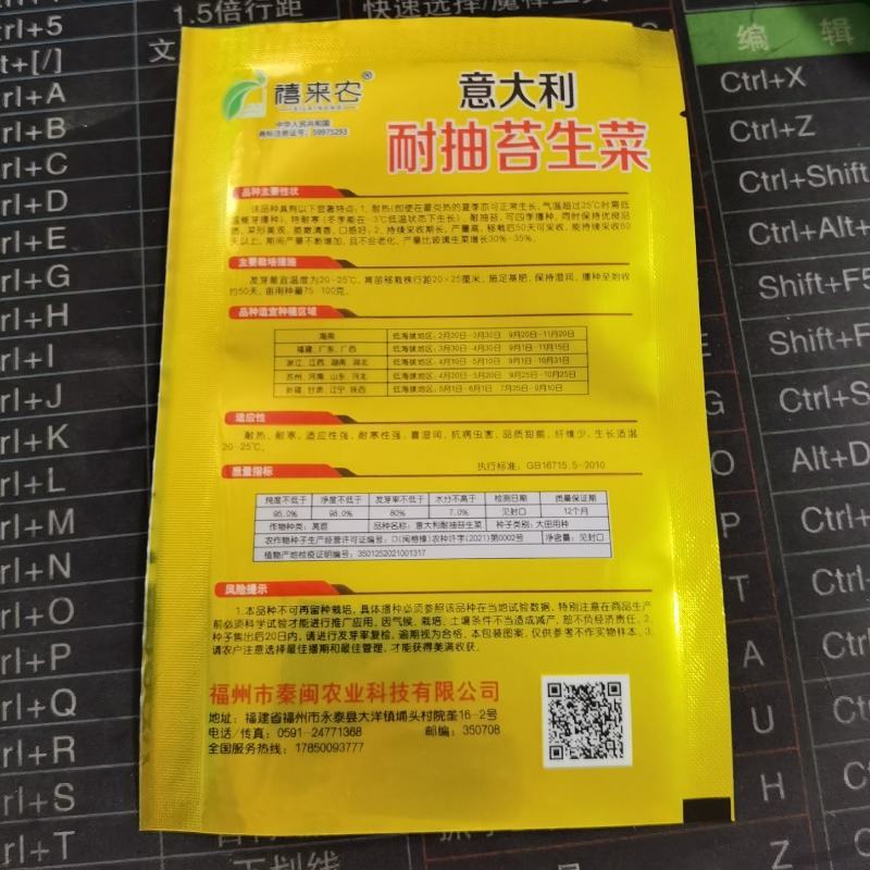 意大利耐抽苔生菜种子爽口生吃生菜种籽盆栽大田农家蔬菜种子