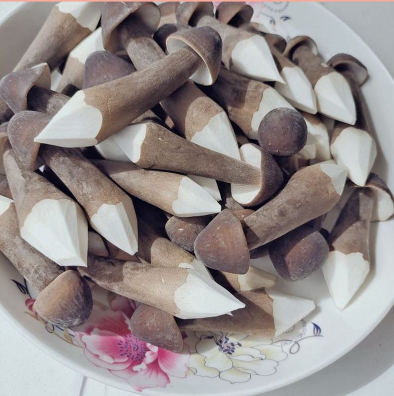 黑皮鸡枞现货云南高原鸡枞菌新鲜肥嫩山珍特产味道鲜美