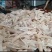 速万食品加工的无油小干猪皮，产地一手货源，质量保证