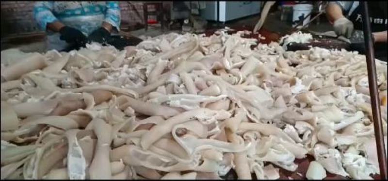 速万食品加工的无油小干猪皮，产地一手货源，质量保证