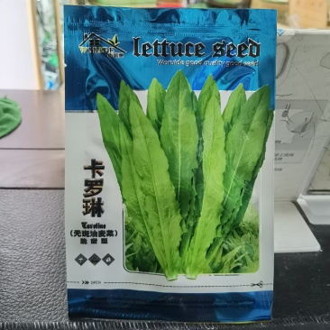 卡罗琳油麦菜种子四季香油麦菜菜园农庄种植香油麦菜四季播种