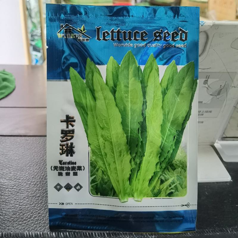 卡罗琳油麦菜种子四季香油麦菜菜园农庄种植香油麦菜四季播种
