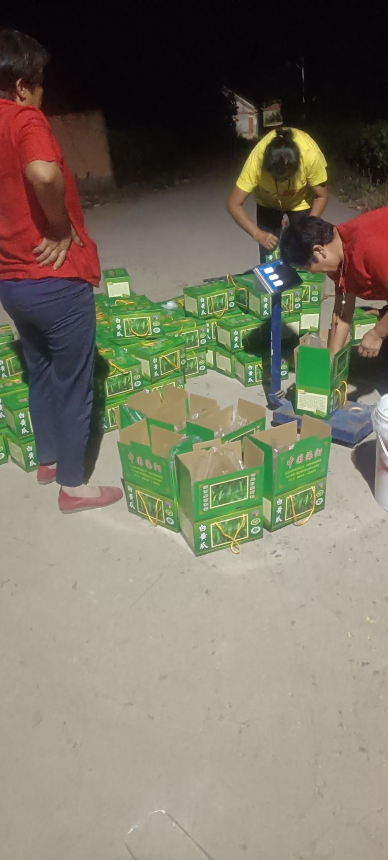海阳白玉黄瓜