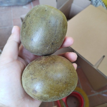 广西桂林永福罗汉果大量电商果地滩果厂家直销