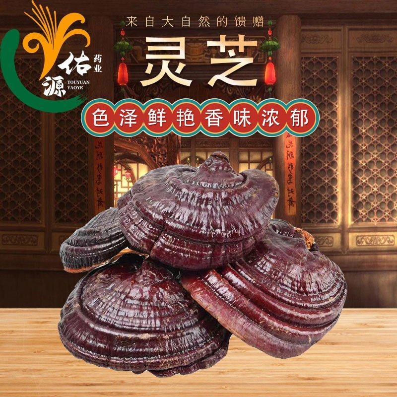 包邮赤灵芝红灵芝散装新货整颗灵芝长白山新货