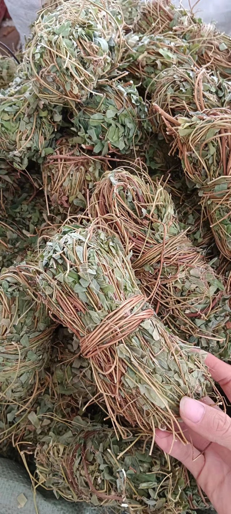 鸡骨草本地7月份新货无硫磺纯生大部分有叶特级青绿省内包